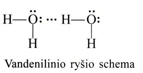 Schema, kaip įrodyti giminystės ryšį tarp vairavimo instruktoriaus ir mokinio.