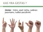 Reguliuotojo gestai ir jų reikšmė