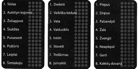 Pavyzdžiai skirtingų tipų tachografo kortelių