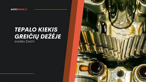 Automobilio greičių dėžės vidinė struktūra
