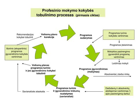 Schematinis vairavimo mokymo procesas