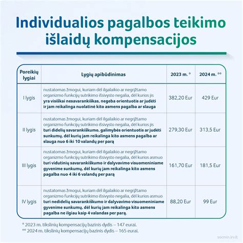 Lentelė su automobilio naudojimo individualioje veikloje taisyklėmis