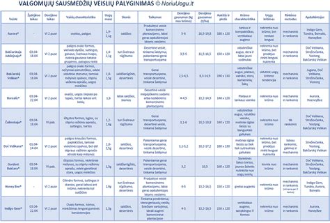 Palyginamoji lentelė su populiariausiomis navigacijos programėlėmis ir jų funkcijomis