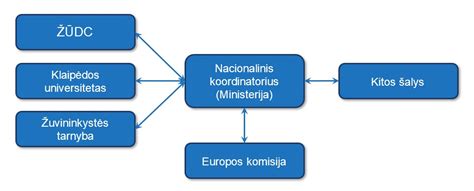 Schema, iliustruojanti realaus laiko eismo duomenų rinkimo ir panaudojimo principą