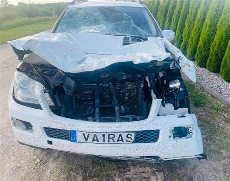 Grupės Vairas nuotrauka