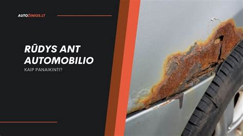 Rūdžių židinių ieškojimas ant automobilio kėbulo