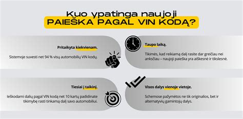 Infografika: Kaip veikia VIN patikra