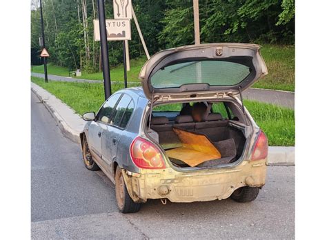 Nuotrauka automobilio su atidaryta bagažine ir žmogaus koja po galiniu buferiu