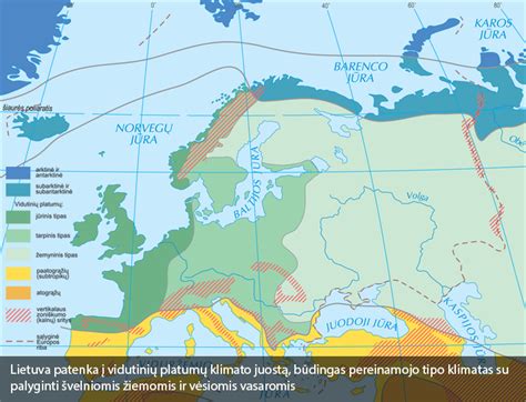 Schema su temperatūros riba vasarinėms ir žieminėms padangoms