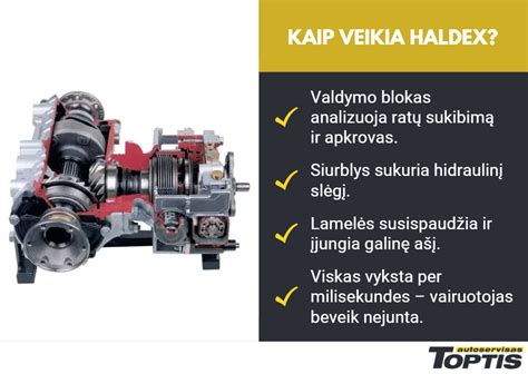 Schematinis Haldex sistemos veikimas