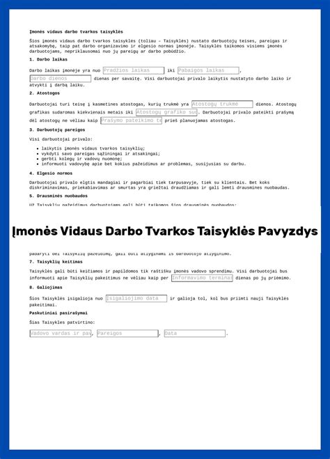 Įmonės automobilių naudojimo taisyklių pavyzdys