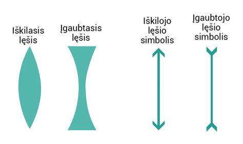 Schema, kaip veikia poliarizuoti lęšiai