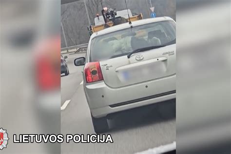 Atbulinio smūgio (šūvio) schematinis vaizdas automobilyje