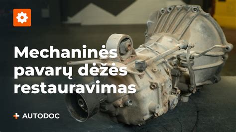 Mechaninės transmisijos pavarų dėžės dalys