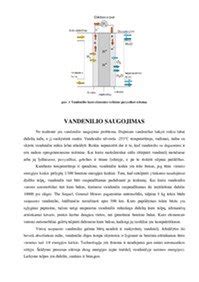 Schema: Vandenilio kuro elementų veikimas