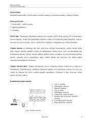 Schematinis automobilio variklio tepimo sistemos pavaizdavimas