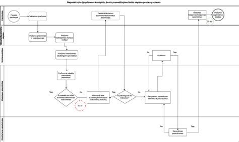 Žalos registravimo proceso schema