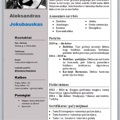 Vairuotojo darbo skelbimų pavyzdžiai