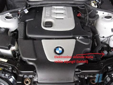 Variklio bloko vaizdas su apibrėžtu variklio numerio buvimo vieta