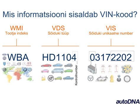Schematinis VIN kodo sandaros pavaizdavimas