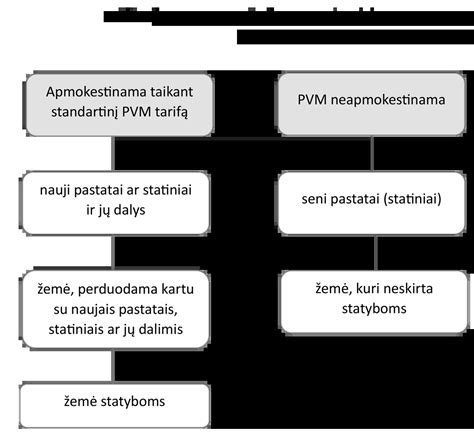 Sema vaizdinė schema PVM atskaitymo procentų pagal turto tipą