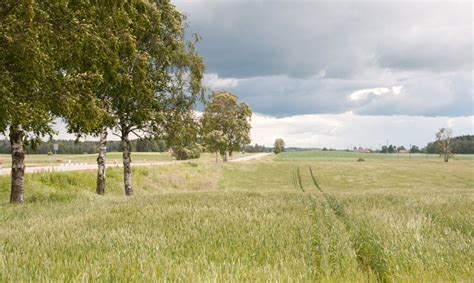 Schema, paaiškinanti skirtumus tarp nuomos ir panaudos sutarčių