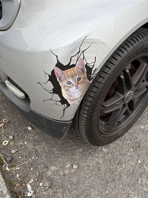 Automobilio lipdukas su padangų informacija