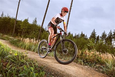 Asortimentas dviračių parduotuvėje