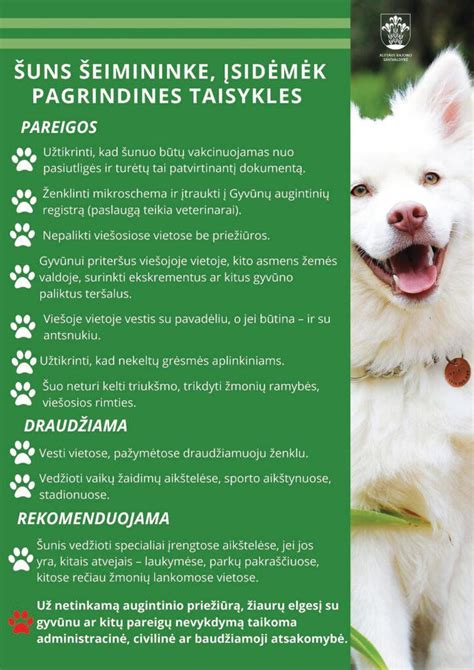 Nuotrauka: Šuo su antsnukiu ir pavadėliu viešoje vietoje