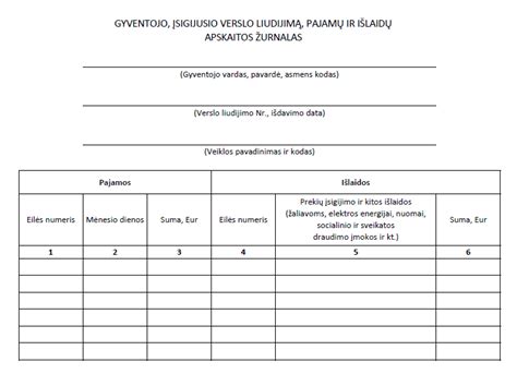 Registracijos liudijimo formos pavyzdys