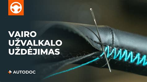 Infografika: Vairo sistemos priežiūros patarimai