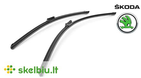 Įvairių tipų automobilio valytuvai