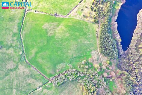 Apleistas žemės sklypas su aukšta žole ir krūmynais