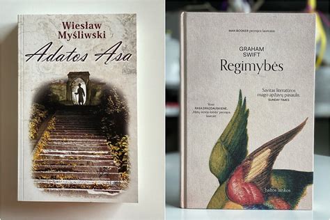 Knygų, parašytų Aldonos Ruseckaitės, viršeliai