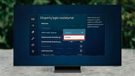 Samsung televizoriaus ekrano testas