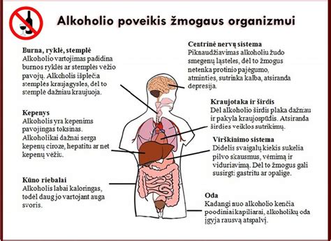 Alkoholio poveikis vairavimo gebėjimams