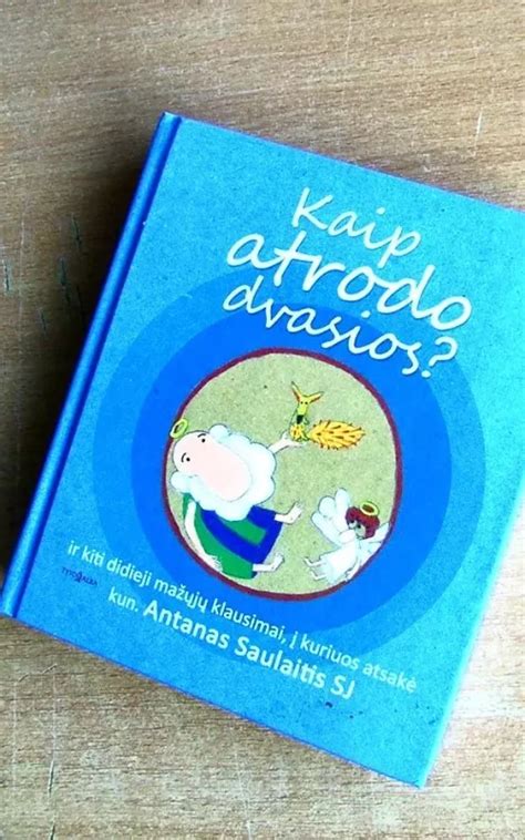 Nuotrauka, kaip atrodo knyga 