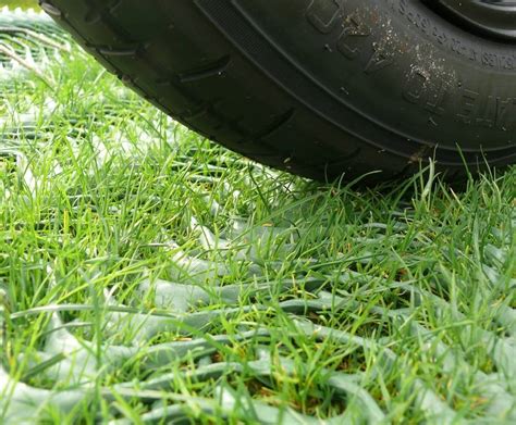 Žalias plotas su automobiliu, stovinčiu ant žolės