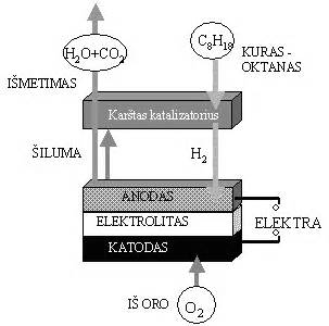 Kuro sistemos elementai