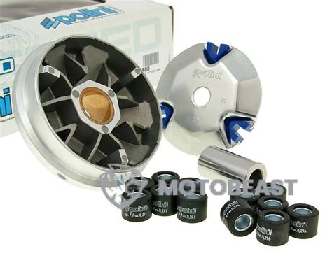 Polini HQ variatoriaus svareliai