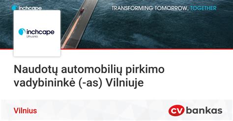 Naudotų automobilių pirkimo procesas