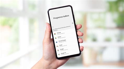 Parkavimo programėlės sąsaja telefone