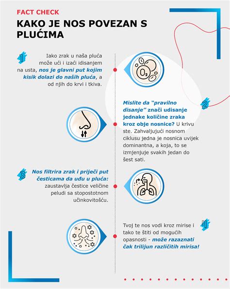 Infografika, iliustruojanti dyglių įrengimo motociklo padangoje žingsnius