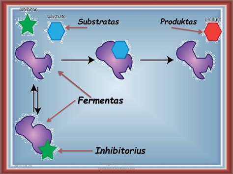 Fermento aktyvusis centras
