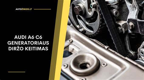 Schema generatoriaus diržo išdėstymo Audi A6