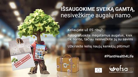 Eismo saugumo kampanijos plakatas.