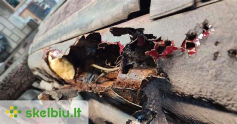 automobilio dugno korozijos židiniai