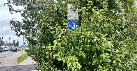 Simbolis, nurodantis geležinkelio pervažą