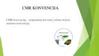 Incidentai ir vežėjo atsakomybė pagal CMR
