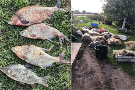 Paveikslėlis su įspėjamuoju ženklu apie neteisėtą žvejybą